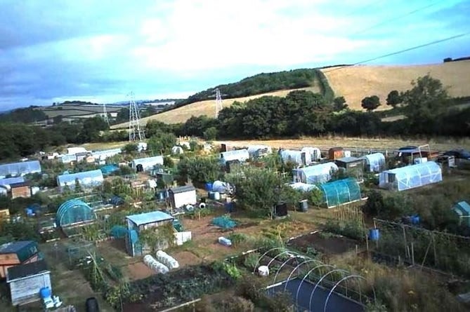 Thieves have struck at Williton's allotments.