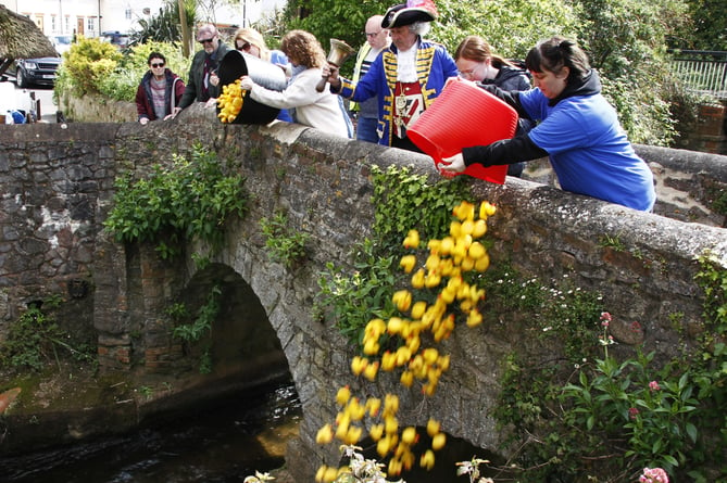 Ducks are released into the Washford River from  Packhorse Bridge.