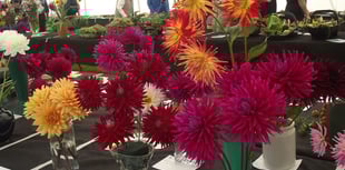 Town's annual flower show returns for summer