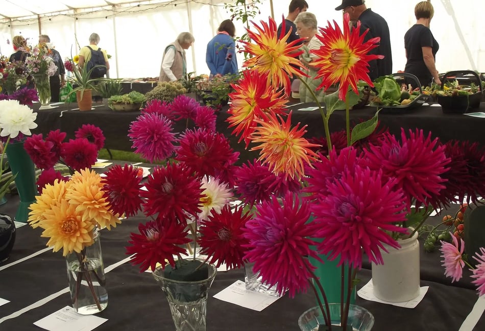 Town's annual flower show returns for summer