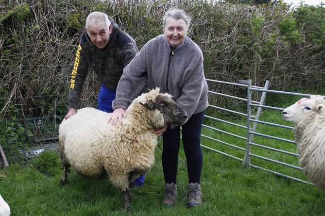 Peter and Wendy Sherring with their surviving pet sheep Sally.