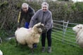 Pet sheep named Lamb Chop killed in dog attack