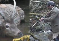 Footage shows man shooting Exmoor stag after hunting it for ten miles 