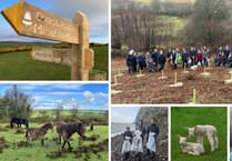 Exmoor National Park to hold its first forum for residents