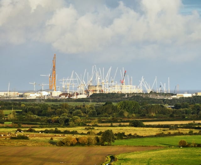 Environmental impact of Hinkley Point C to be subject of inquiry