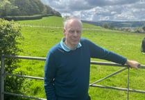 MP welcomes clampdown on solar farm developments