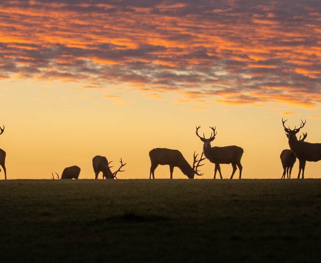 First festival of nature for Exmoor