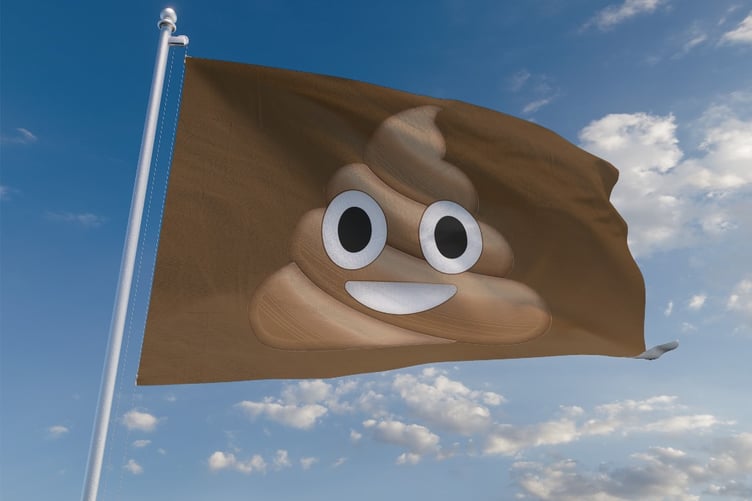 A 'Brown Flag' with a poo emoji has been offered to Dunster beach for being among the dirtiest bathing waters in the country.