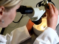 Significant rise in cases of drug-resistant disease in Somerset