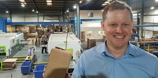 'Tree in a box' teaches pupils about cardboard