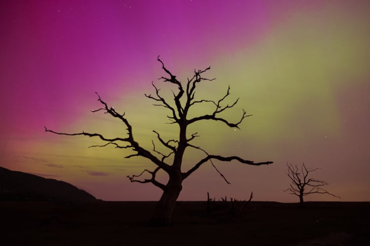 A natural masterpiece, the aurora borealis over Porlock Marsh.