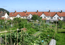 Town's allotment rents going up this year