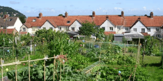 Town's allotment rents going up this year