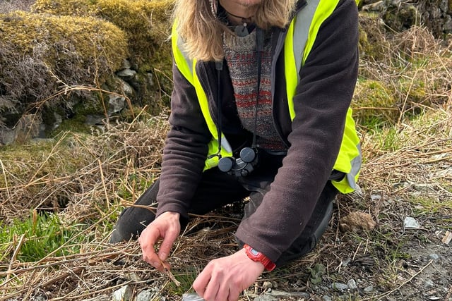 Lottery funding boost for return of pine martens