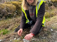 Lottery funding boost for return of pine martens
