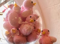 New breed of Exmoor duck supports cancer patients