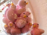 New breed of Exmoor duck supports cancer patients