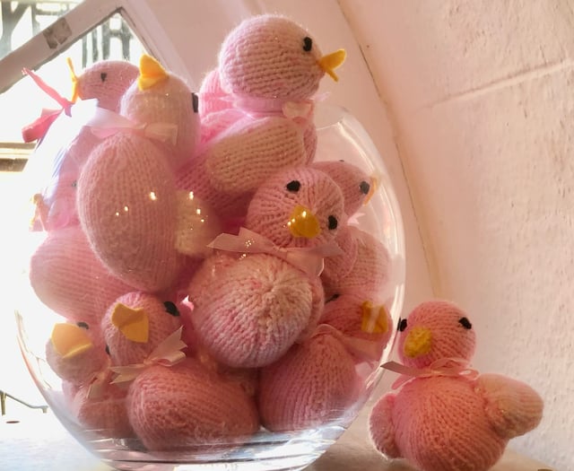 New breed of Exmoor duck supports cancer patients