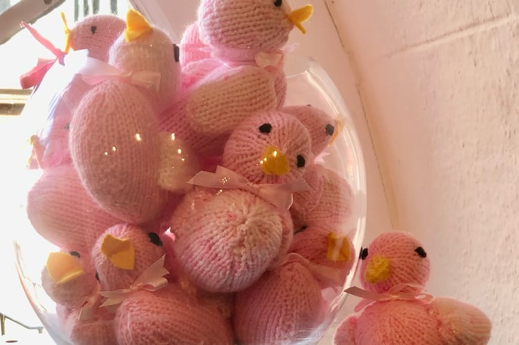 Beaky Ducks in Dulverton raising funds for the Beacon Centre at Musgrove Park Hospital, Taunton.