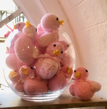 Beaky Ducks in Dulverton raising funds for the Beacon Centre at Musgrove Park Hospital, Taunton.