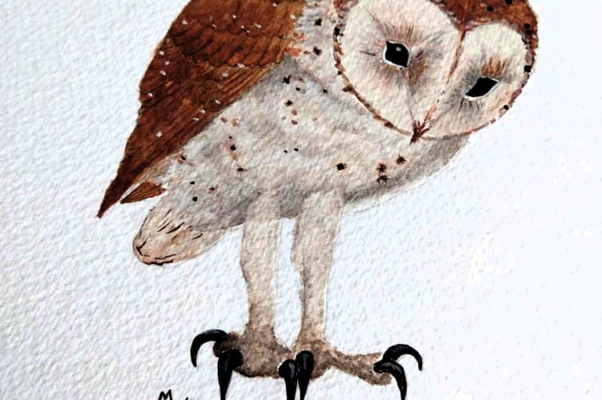 Owl drawing by Malcolm Warrington