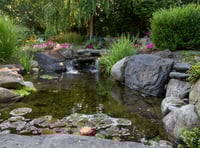 Good Gardening by Philip Greenfield - Make a splash in your garden