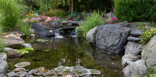 Good Gardening by Philip Greenfield - Make a splash in your garden