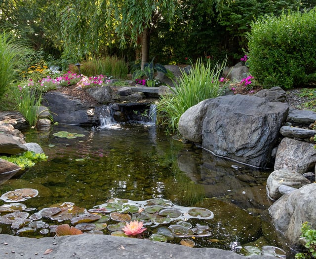 Good Gardening by Philip Greenfield - Make a splash in your garden