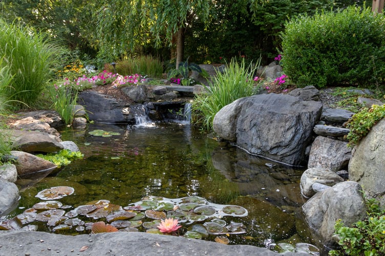 A pond can transform a garden (Photo: This Old House)