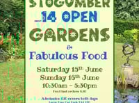 Gardens bursting with character will open to public in charity event