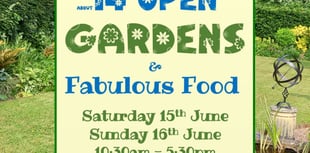 Gardens bursting with character will open to public in charity event