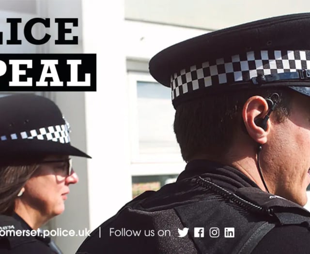 Girl, 14, charged after 'number of people' involved in disorder