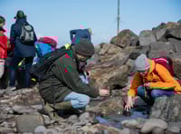 Seaside safaris and nature-based activities to mark World Ocean Day