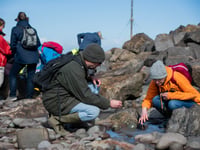 Seaside safaris and nature-based activities to mark World Ocean Day