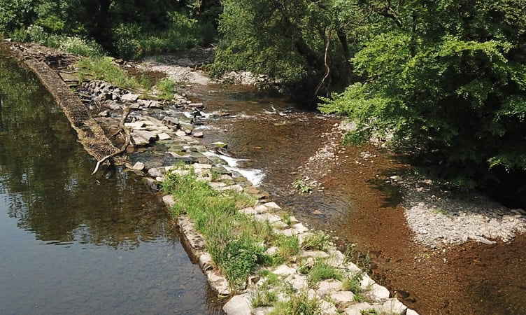Dulverton's historic weir and leat. 