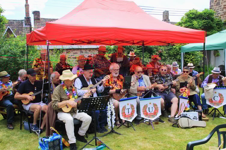 Taunton Ukelele Strummers Club performing at Sampford Brett village fete.