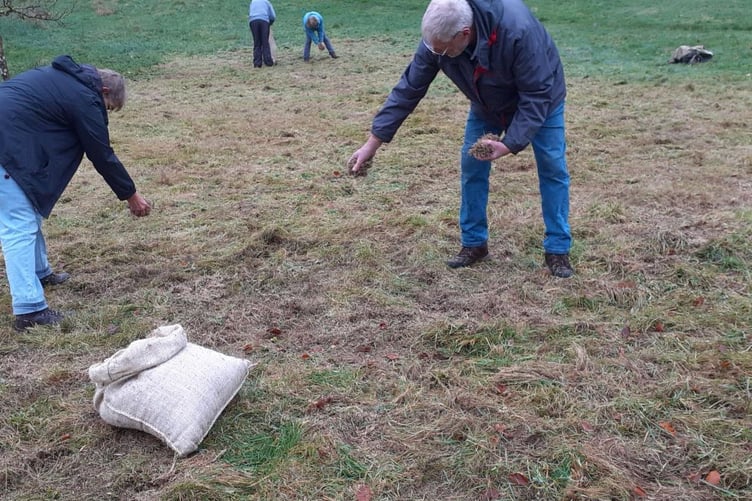 Volunteers help to sow wildflower seeds in Ashcombe, near Simonsbath.
