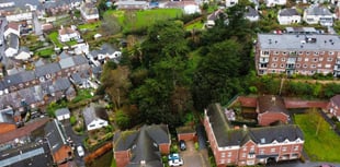 Town's 'secret gardens' go under auctioneer's hammer