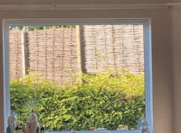 Man ordered to take down fences 'blocking' neighbour's view