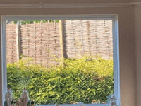 Man ordered to take down fences 'blocking' neighbour's view