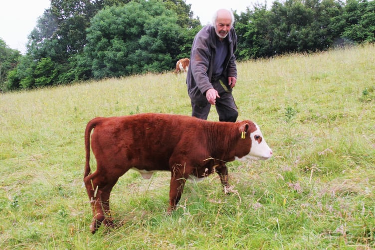 Exmoor farmer Michael Reed with the calf whose mother was seized and destroyed after a TB diagnosis.