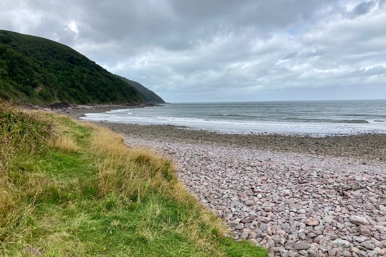 A clean-up is being organised of Greenaleigh Beach, near Minehead.