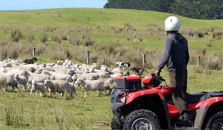 Quadbikes and other equipment has been stolen from farms on Exmoor. 
