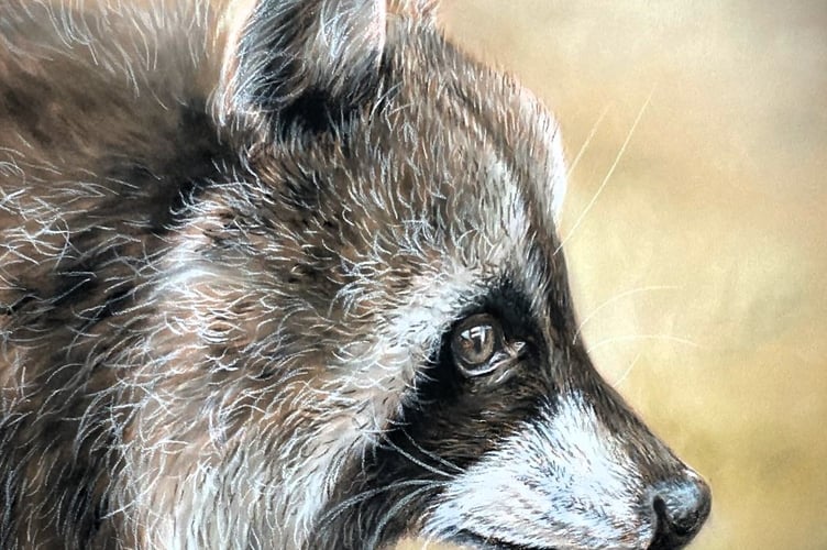 A wildlife portrait from Donna Terry.