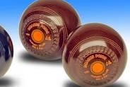 Williton Bowls Club round-up