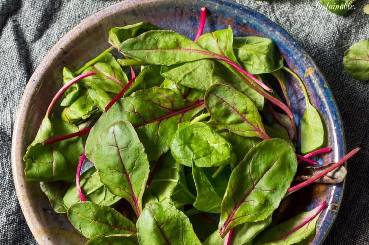 Beetroot leaves.