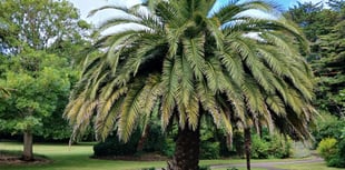 Council co-ordinating town's VE Day 80th anniversary commemoration