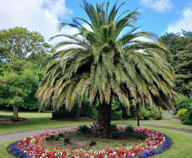 Council co-ordinating town's VE Day 80th anniversary commemoration