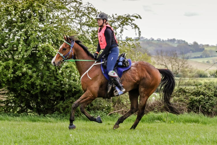 Amanda Hamley on Morse