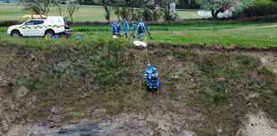 Coastguards rescue dog which fell over cliff